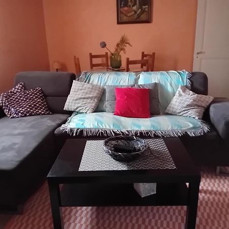 Appartement Spacieux Dans Joli Village Alsacien Chatenois  Ngoại thất bức ảnh