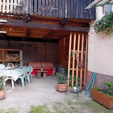 Appartement Spacieux Dans Joli Village Alsacien Chatenois  Ngoại thất bức ảnh
