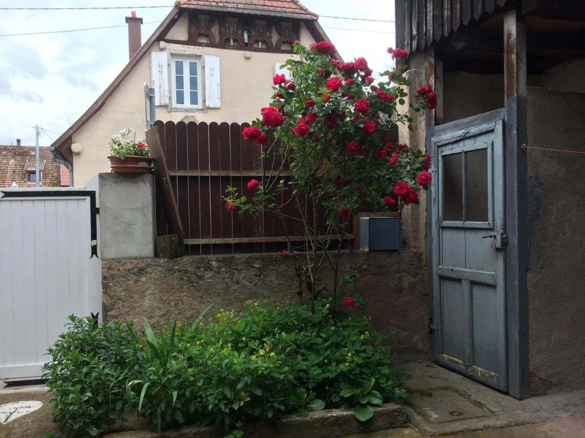 Appartement Spacieux Dans Joli Village Alsacien Chatenois  Ngoại thất bức ảnh