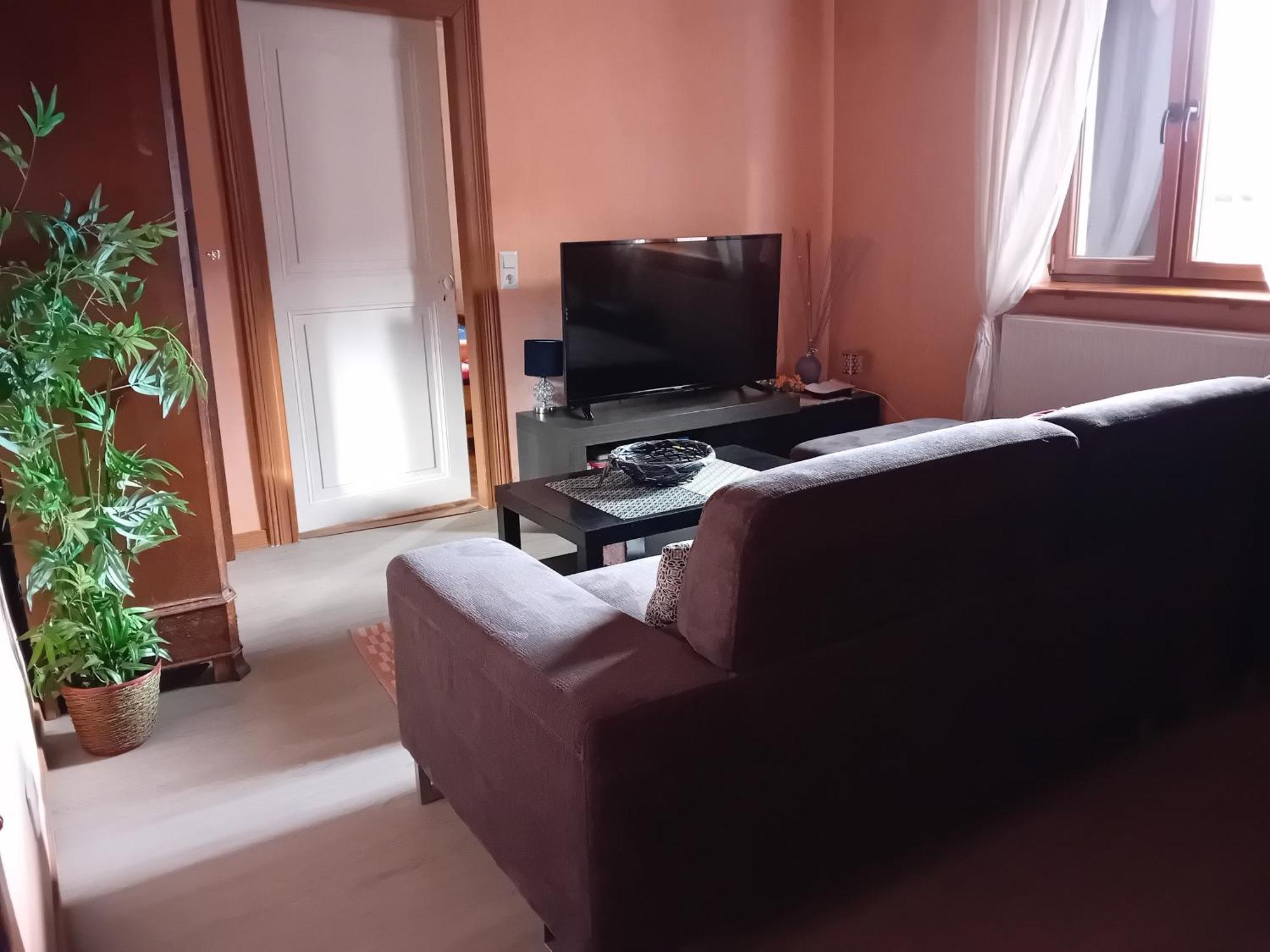 Appartement Spacieux Dans Joli Village Alsacien Chatenois  Ngoại thất bức ảnh